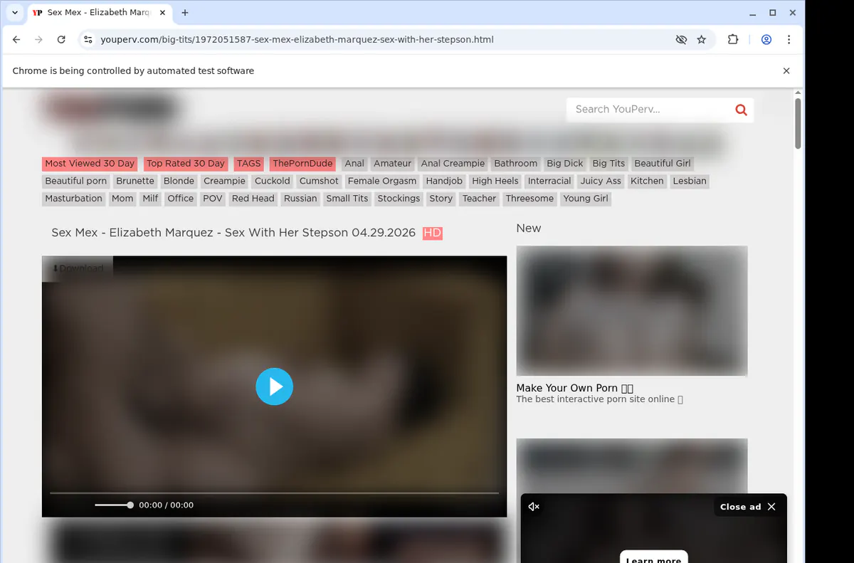 Youperv Video Downloader browser extension screenshot 2